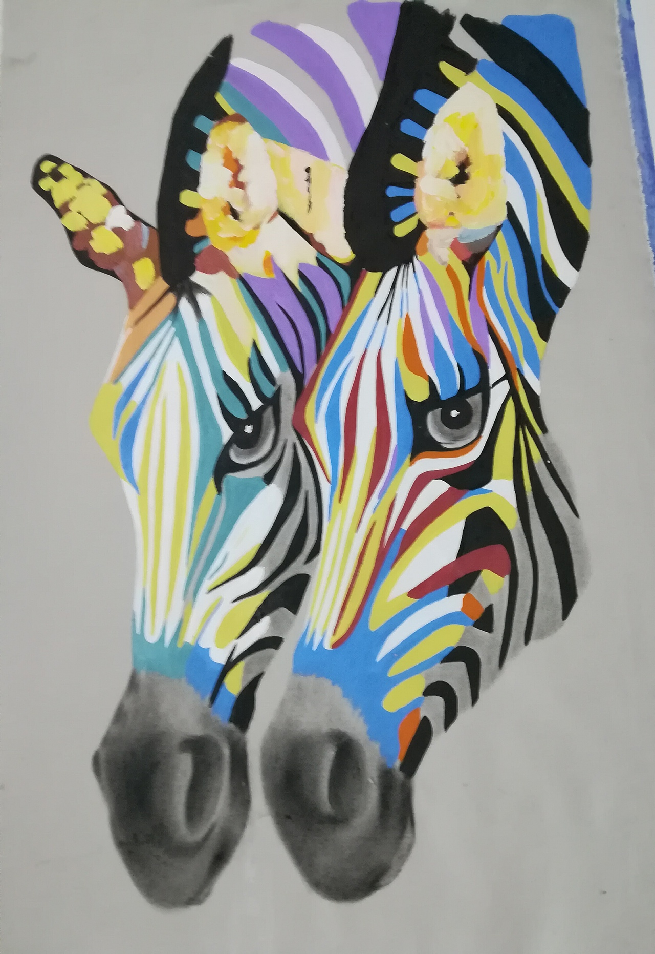 斑马|插画|商业插画|杨晓曦_原创作品-站酷zcool