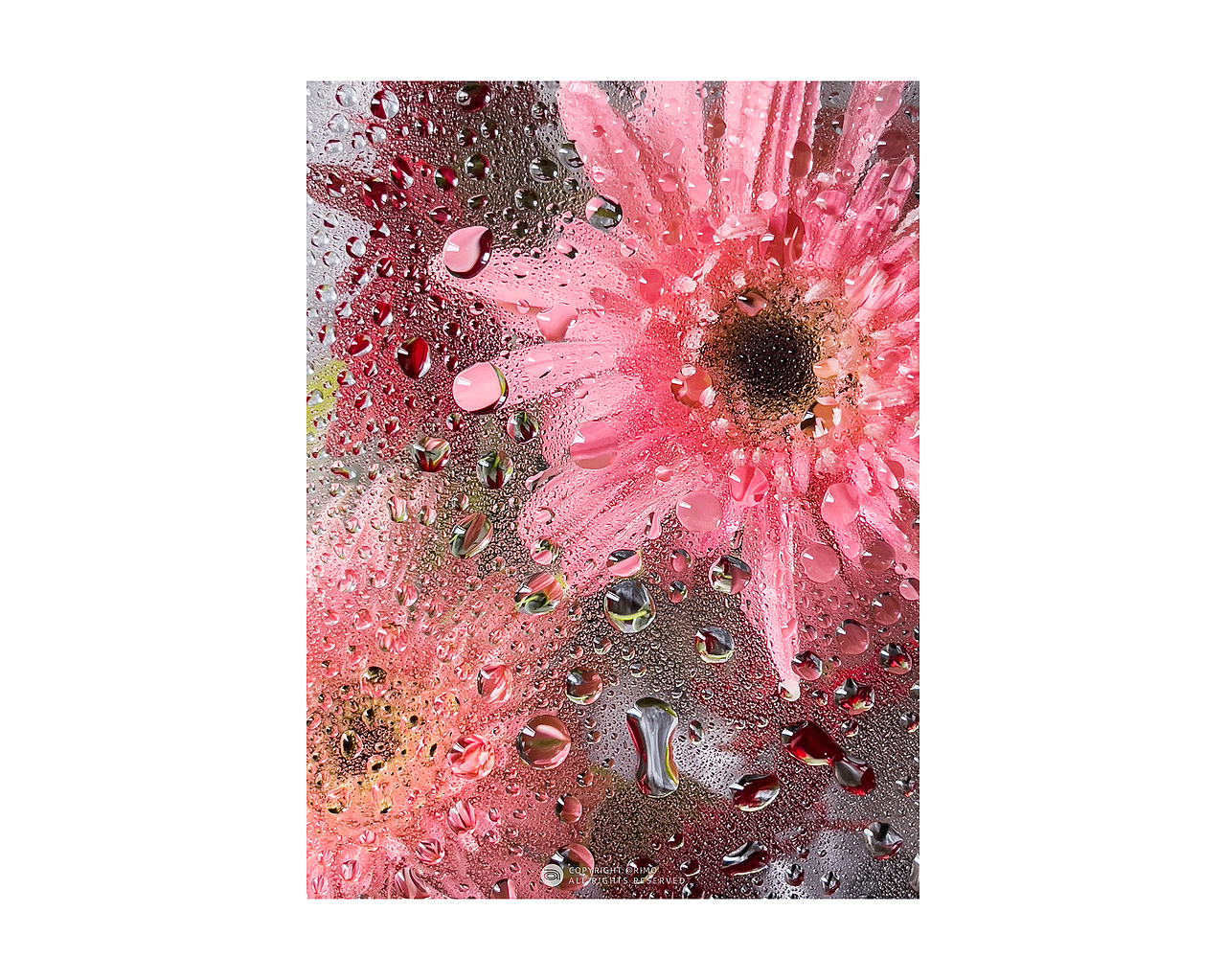 2021 | 手机摄影年终总结