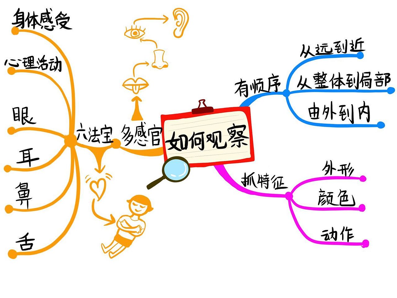 绘本插图-思维导图-已商用