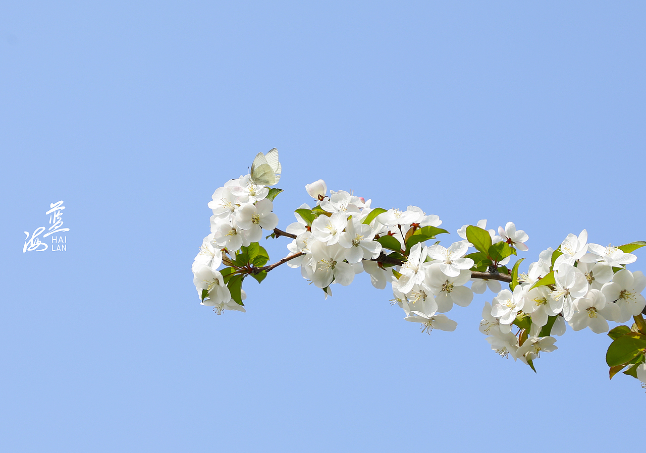 疫情终会过去，静候春暖花开（图ZMjk1NjEzMzg0） - 风光摄影 - 站酷设计师Z13172302原创素材 - 站酷ZCOOL