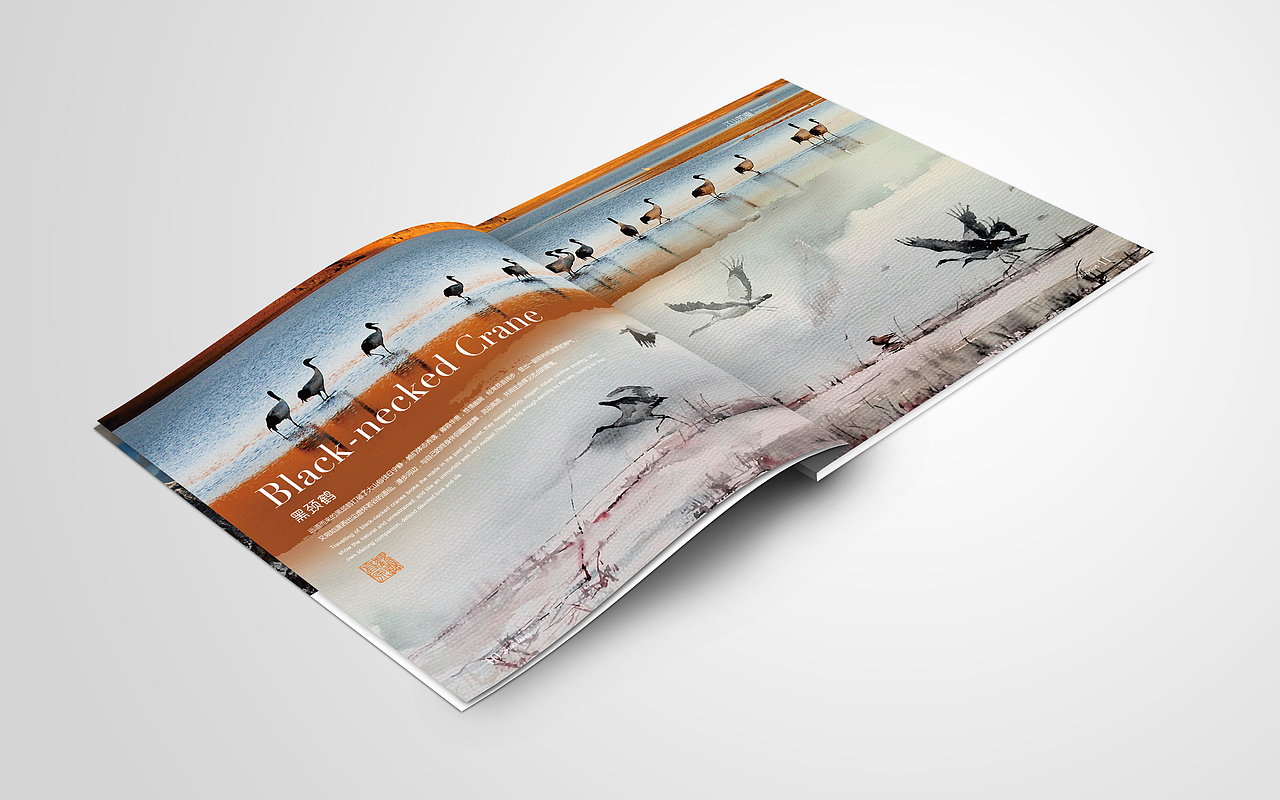 云南昭通市昭阳区城市旅游形象画册设计(时与间出品)（图ZNTE5Njk5MTY=） - 书籍/画册 - 站酷设计师时与间品牌设计原创素材 - 站酷ZCOOL