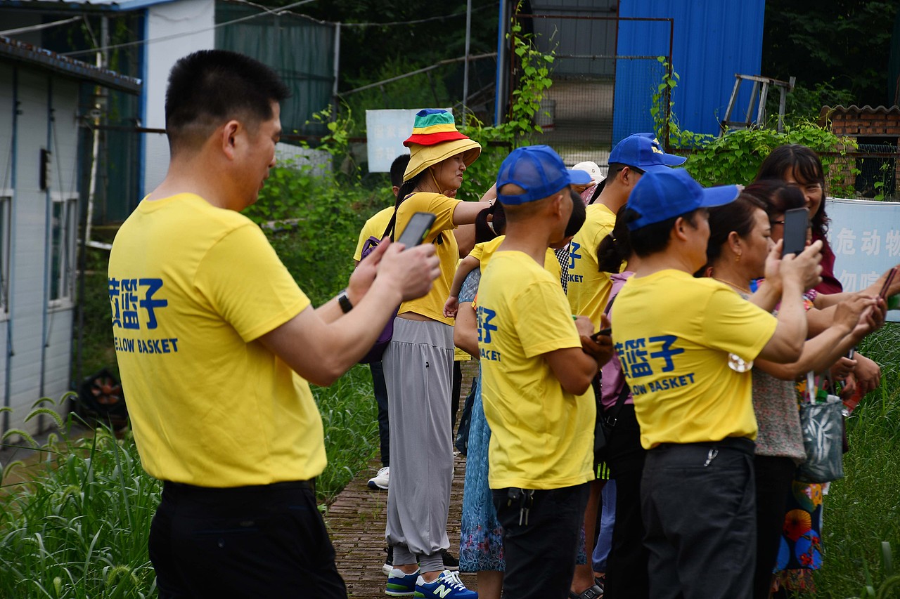 黄篮子生鲜会员探访黄篮子蔬菜种植基地 - 天然无公害