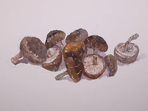 水彩绘画（蘑菇）（个人主页-ZMzk4ODczNzY=） - 绘画 - 站酷设计师萃艺博课堂原创素材 - 站酷ZCOOL