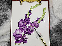 手绘水彩剑兰