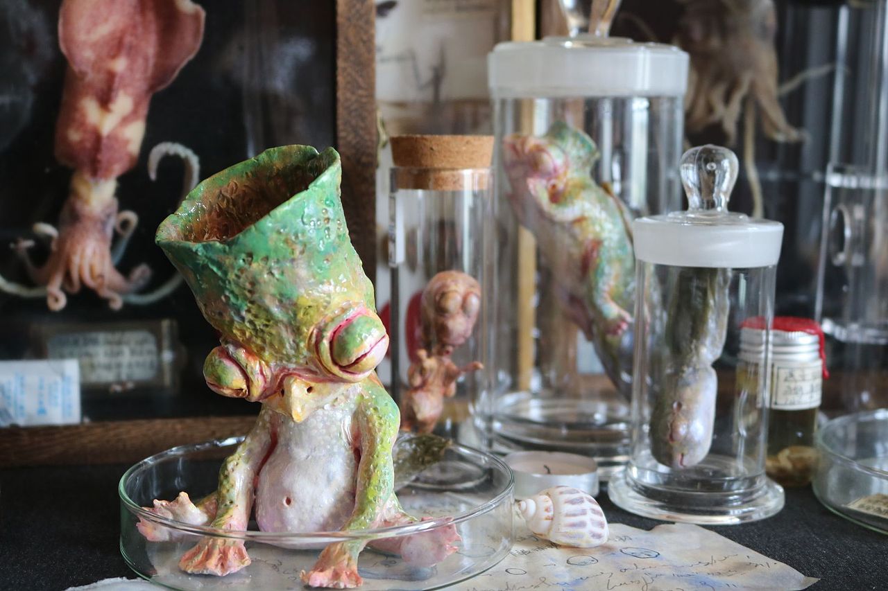 【水杯河童研究所】系列（图ZMzIyNDU2MzEy） - 绘画 - 站酷设计师懿晏原创素材 - 站酷ZCOOL