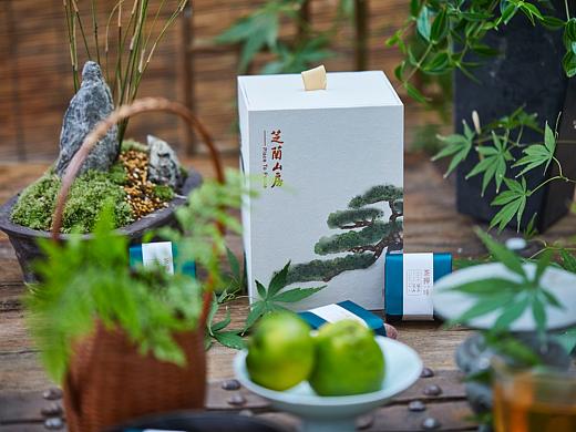 美食摄影｜芝兰山房｜茶。禅