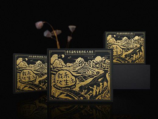 载禾集团农产品礼盒包装设计