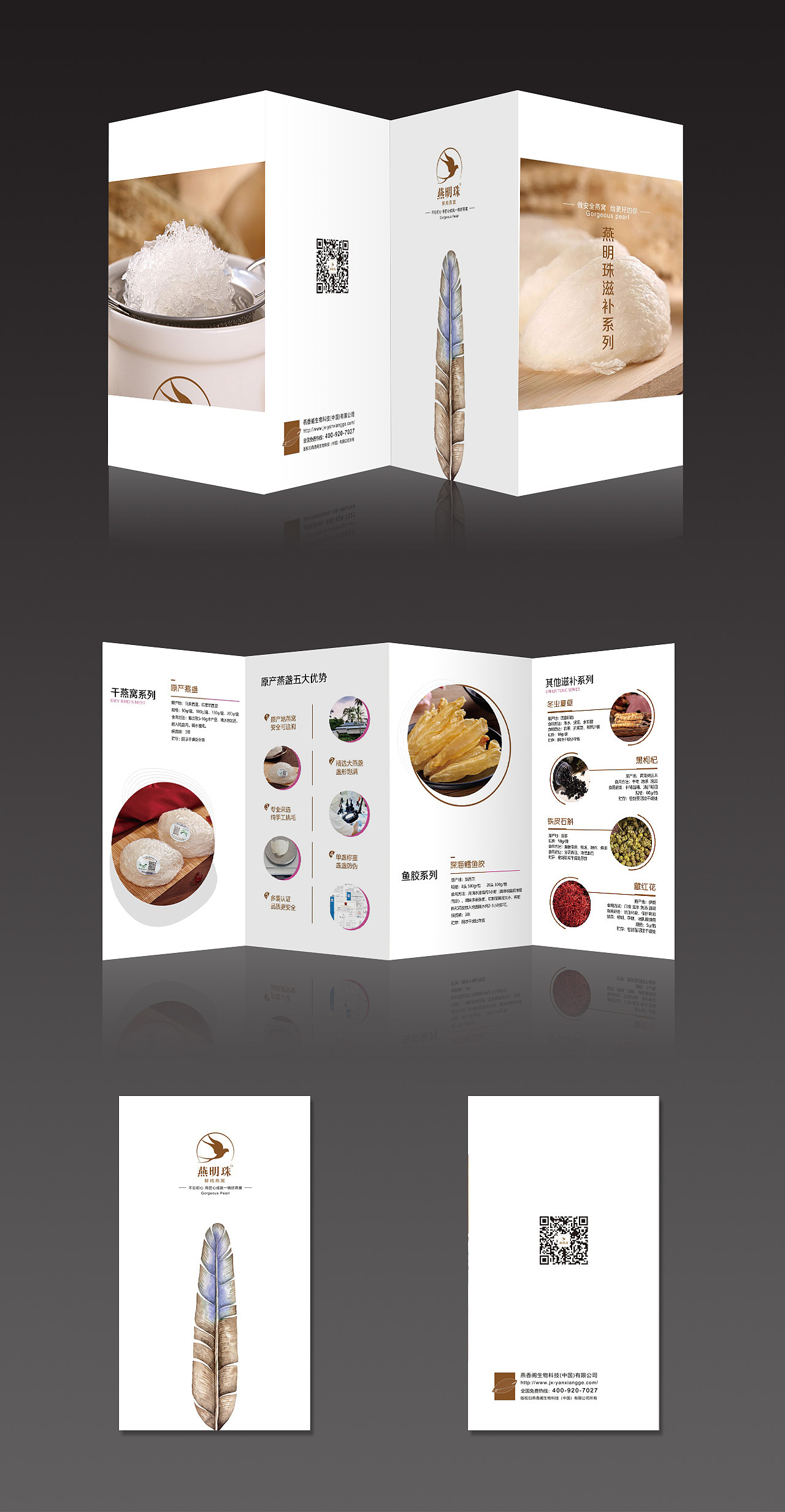 燕窝四折页品牌宣传四折页设计