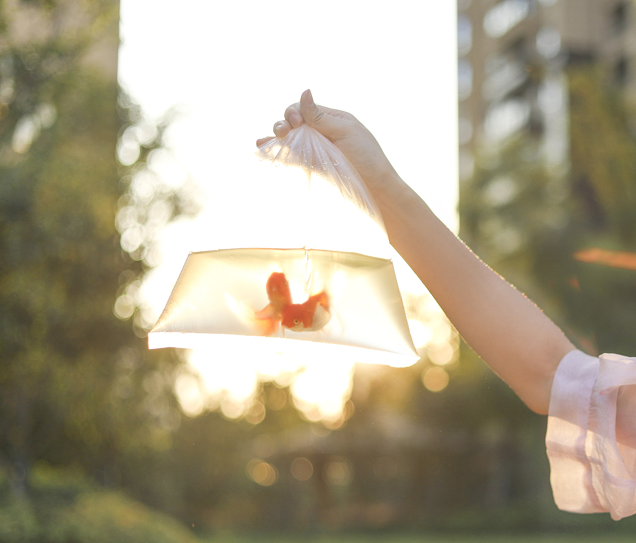 人像摄影《向日葵女孩》（图ZMTgxODk1MTE2） - 人像摄影 - 站酷设计师秀秀学姐原创素材 - 站酷ZCOOL