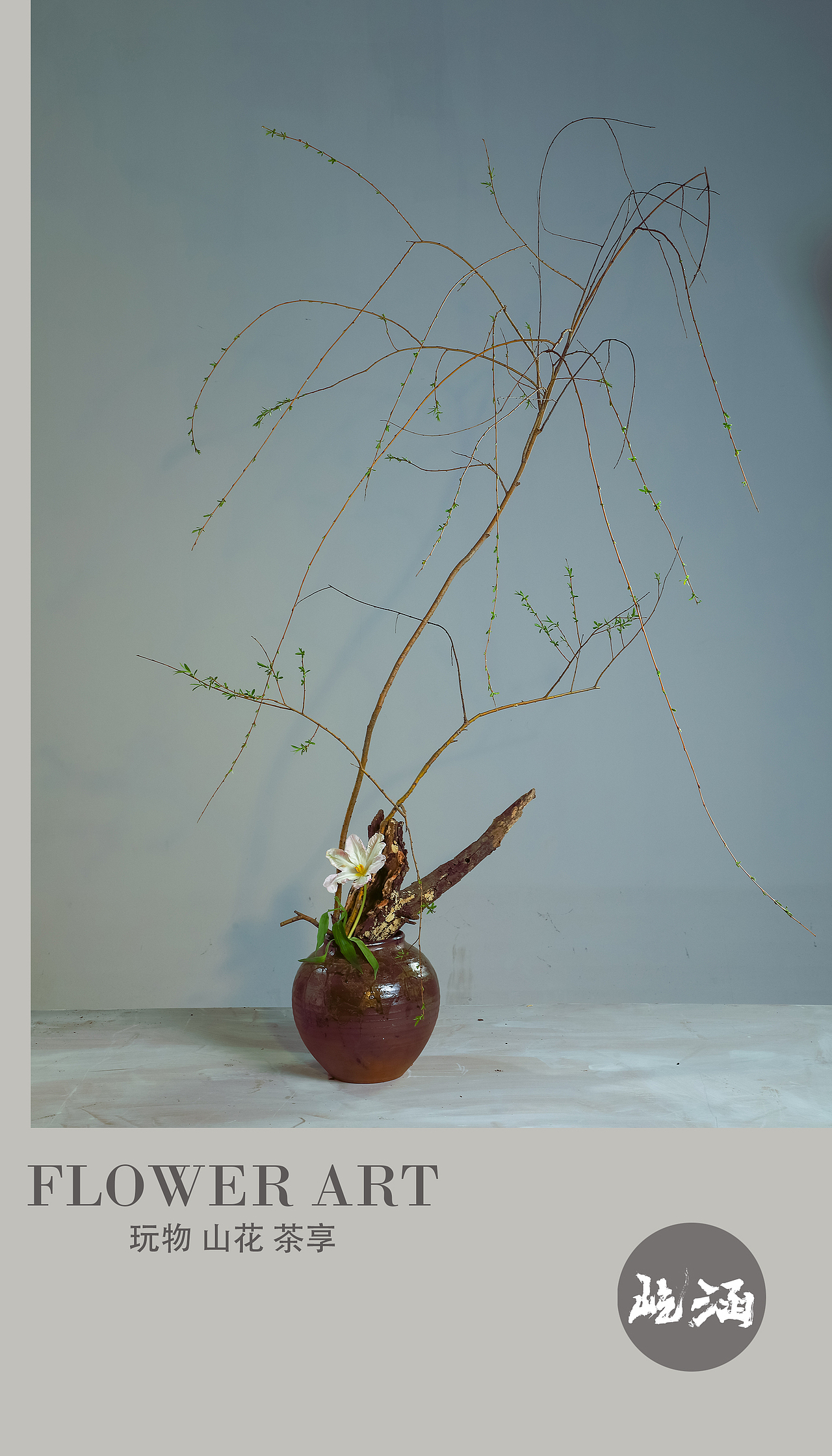 茶花--玩物 日常花 一 柳枝插花上海/摄影师/2年前/21浏览屹涵工作室