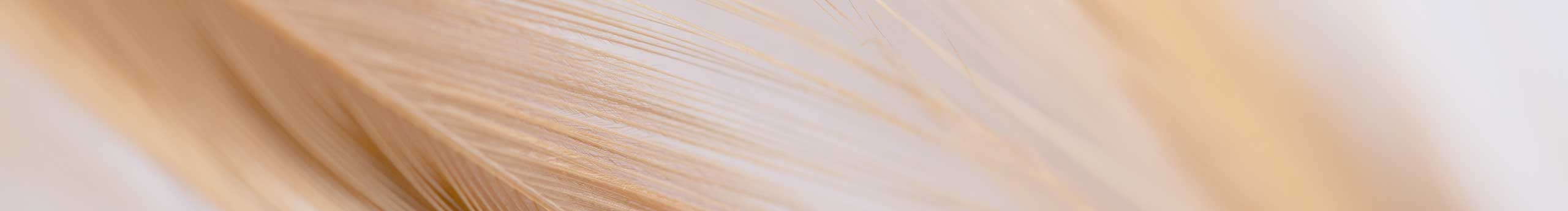 万物语摄影的个人主页（封面预览） - 主页封面设置 - 站酷设计师万物语摄影原创素材 - 站酷ZCOOL