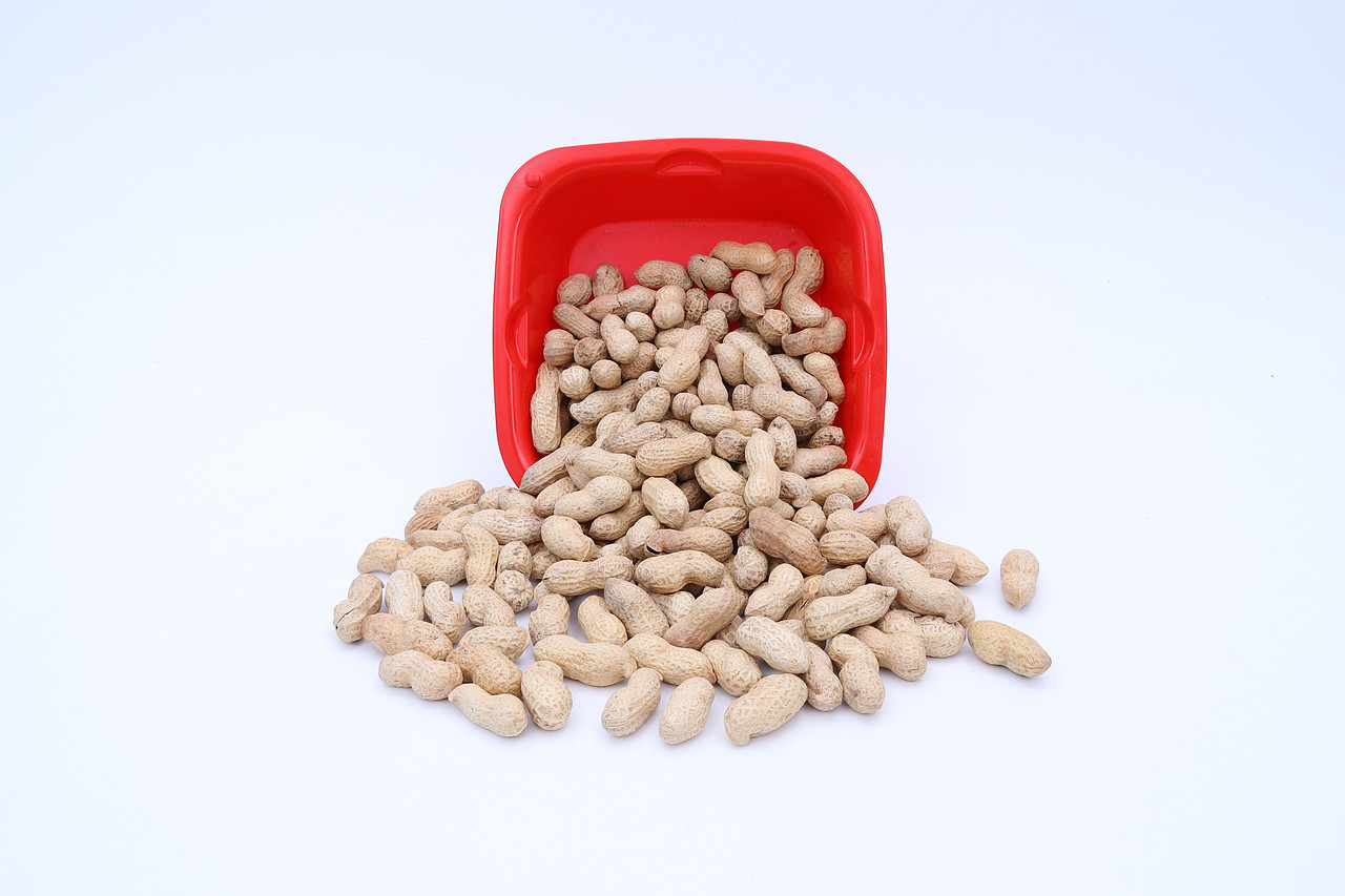 B08零食\C07-坚果炒货\V16带壳花生X1-QM