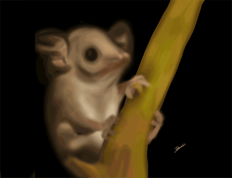 插画（图ZMjQ0MjAwMTAw） - 创作习作 - 站酷设计师Po3a_原创素材 - 站酷ZCOOL