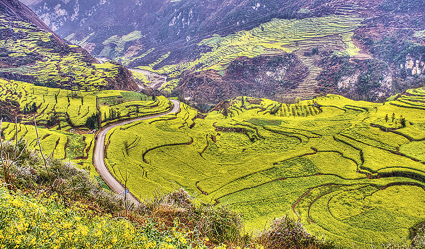 云南-罗平油菜花（图ZMTQxMzE0Mjg=） - 风光摄影 - 站酷设计师RyanShao原创素材 - 站酷ZCOOL