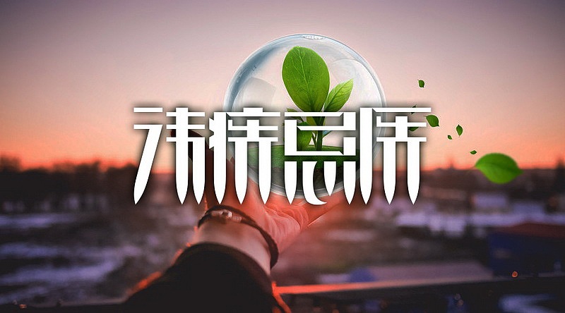 小马哥9月字体设计练习