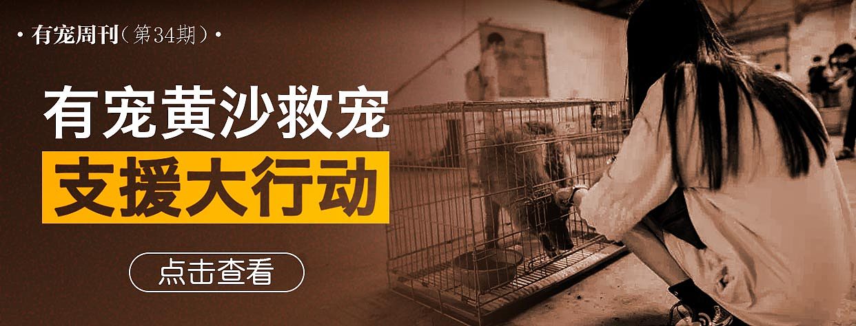 banner合集1（图ZNTY0ODEyMjg=） - 运营设计 - 站酷设计师怪兽很瘦原创素材 - 站酷ZCOOL