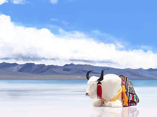 手绘-牦牛（个人主页-ZNDAxMjgzNjQ=） - 创作习作 - 站酷设计师王木楠原创素材 - 站酷ZCOOL