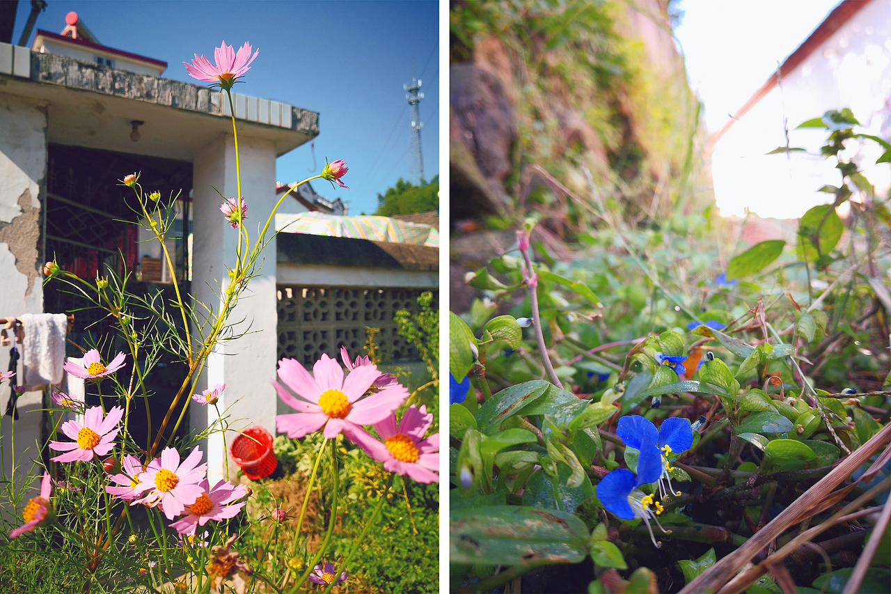 小梦的随手拍-第2期