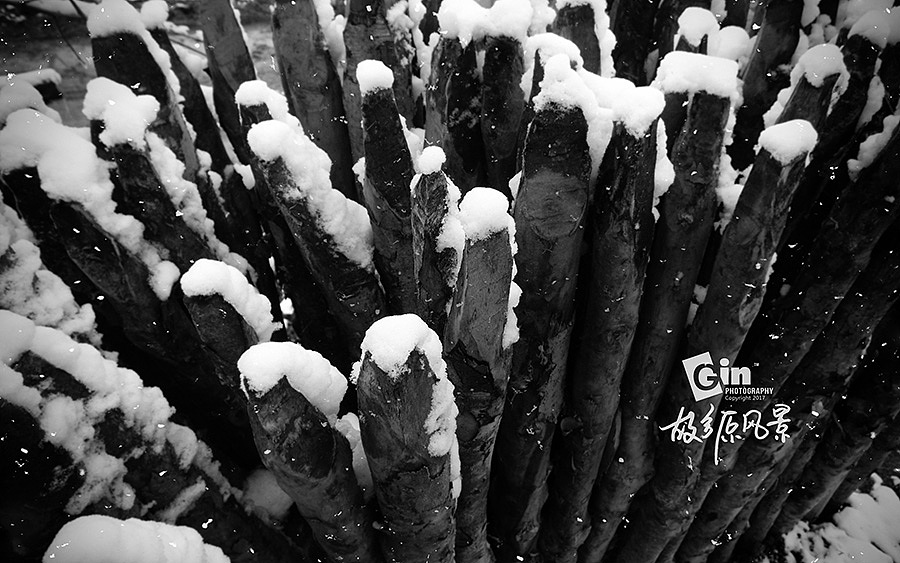 拍照 | 故乡原风景、