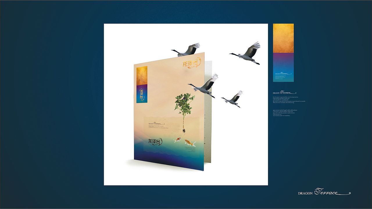 龙泽台 | 房地产品牌VIS