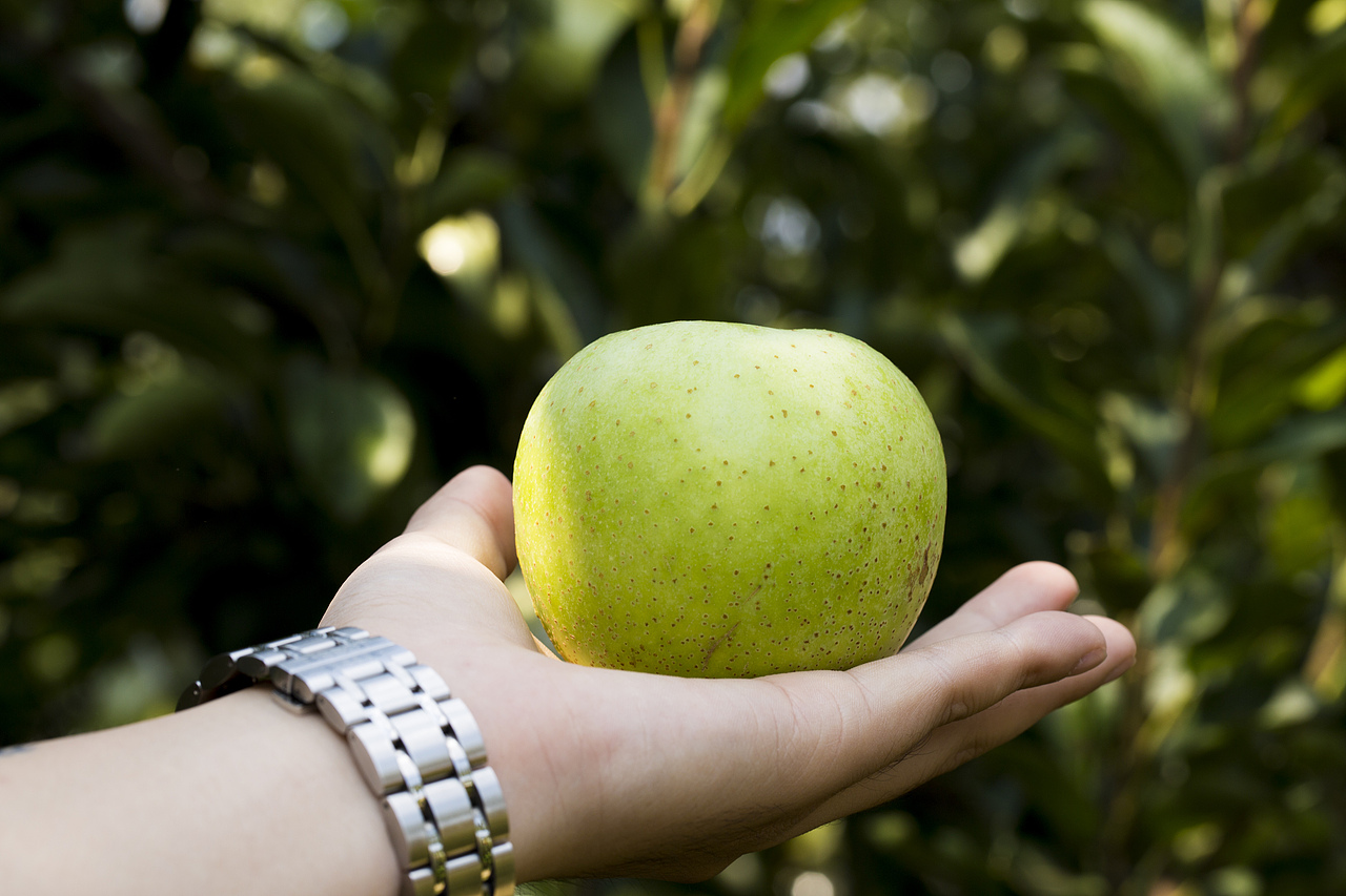 王林苹果