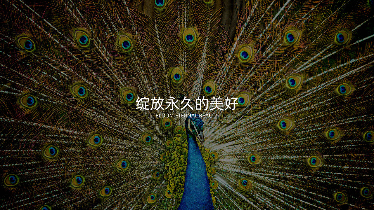 [LOGO] Mayoorah（图ZMjAxMTQ3NzY0） - Logo - 站酷设计师Wriver原创素材 - 站酷ZCOOL