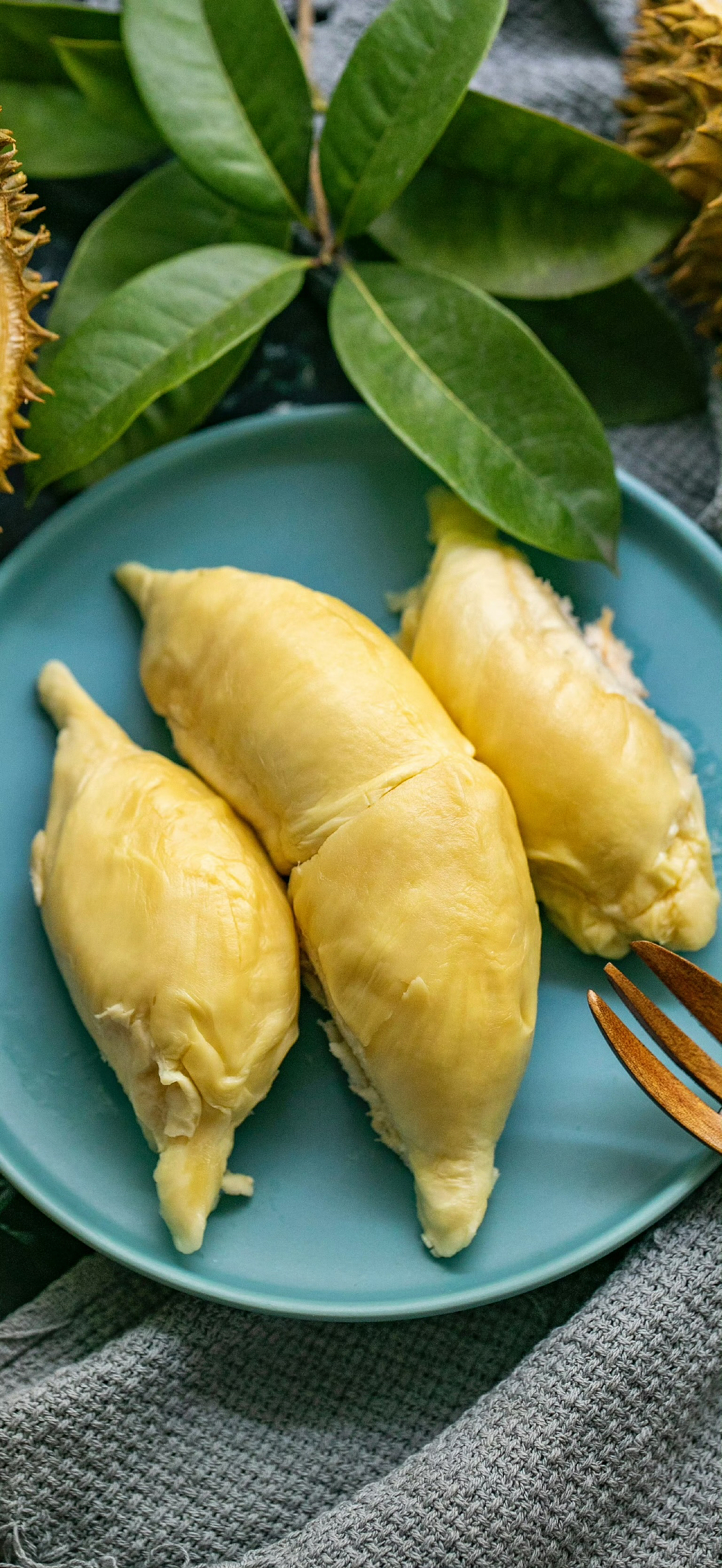 如果你太重视某件事情,就会成为它的奴隶。