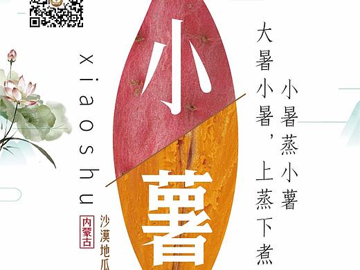 小暑节气海报