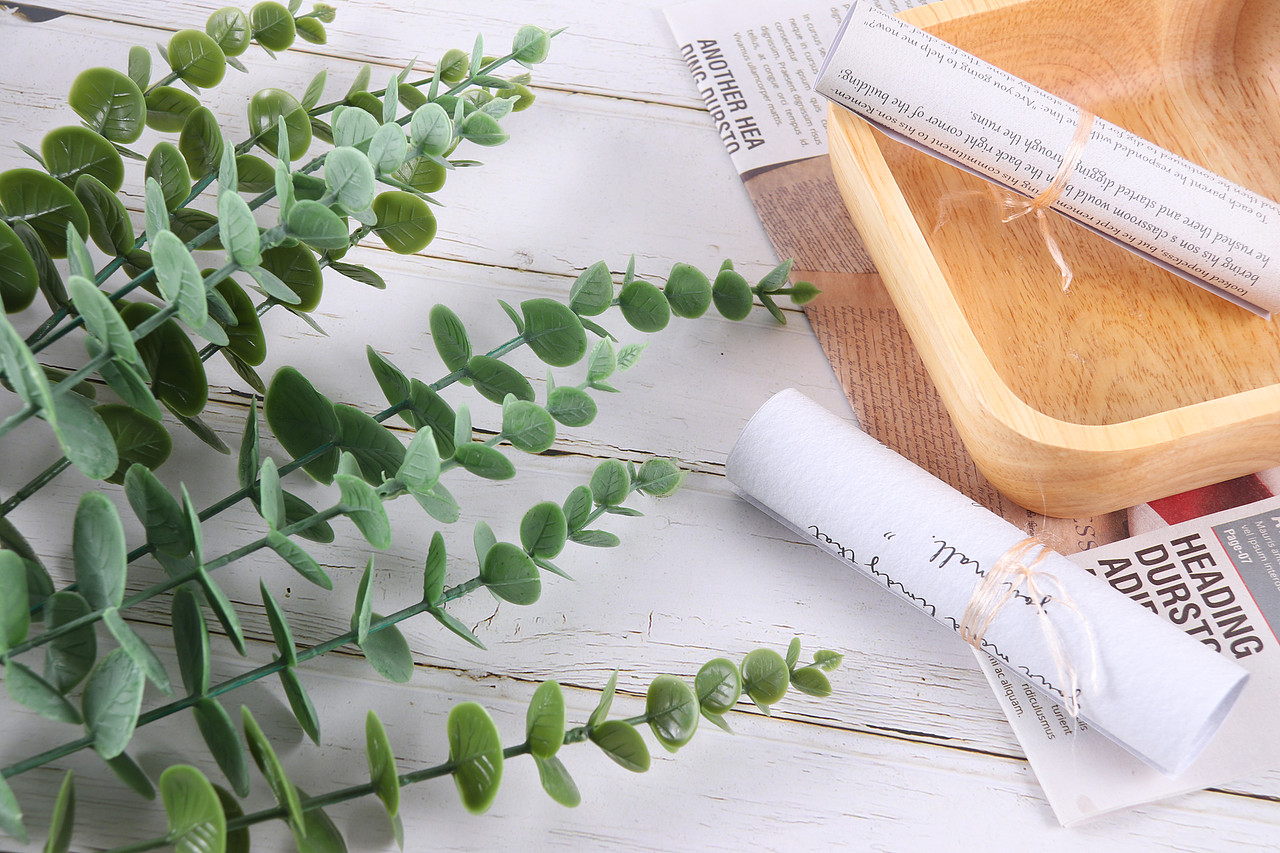 B03家居饰品\C11-仿真饰品\V06仿真尤加利叶X1