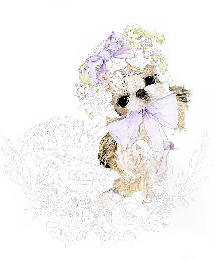 甜蜜花园里的西施犬