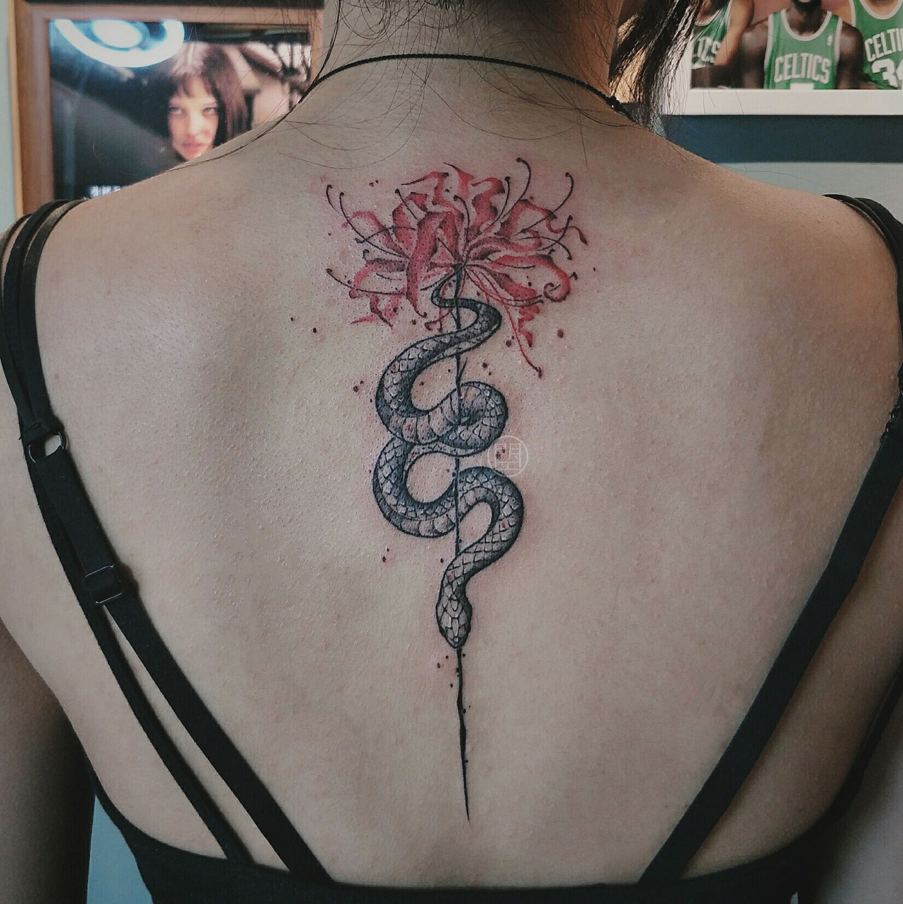 "彼岸花,开一千年,落一千年,花叶永不相见