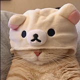 用户头像