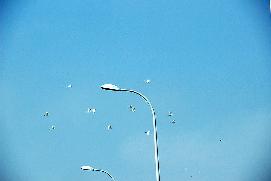 舟山之旅（平凡之路）（图ZMjg1NjIzMTY=） - 风光摄影 - 站酷设计师冀希原创素材 - 站酷ZCOOL