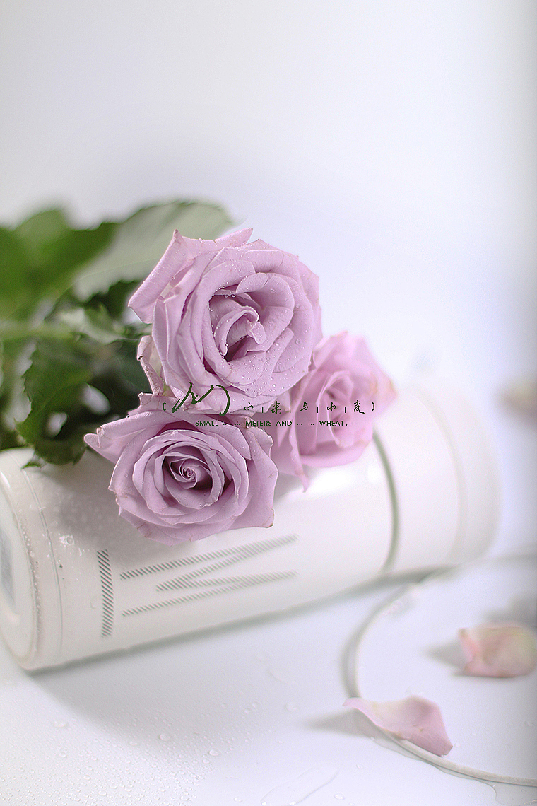 Flower-紫精灵（图ZOTc2MjE0NTY=） - 产品摄影 - 站酷设计师小米与小麦原创素材 - 站酷ZCOOL