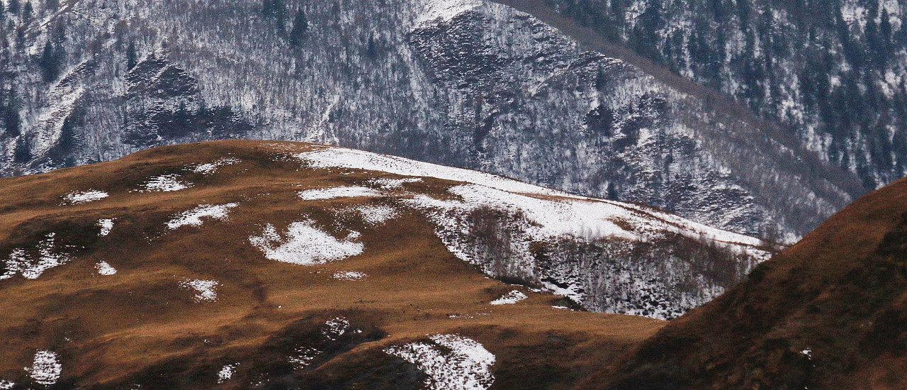 清明川西之旅（图ZMjk1NzY5Mjky） - 风光摄影 - 站酷设计师跑狗飞原创素材 - 站酷ZCOOL