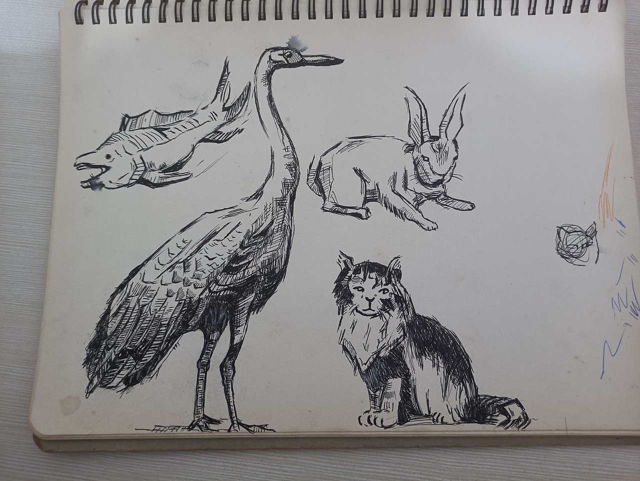 针管笔画及马克笔彩铅画