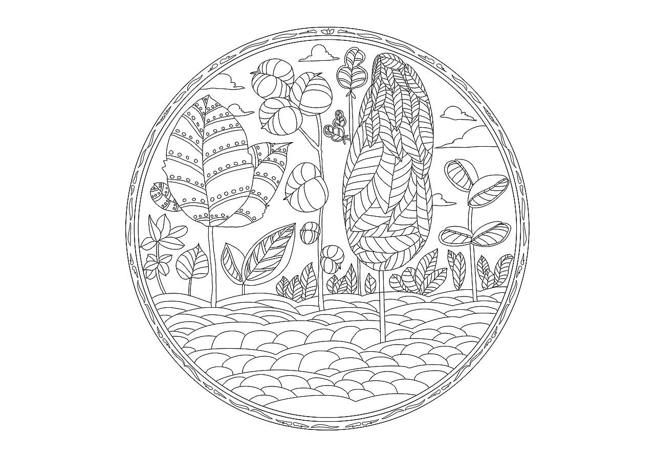 个人插画作品合集