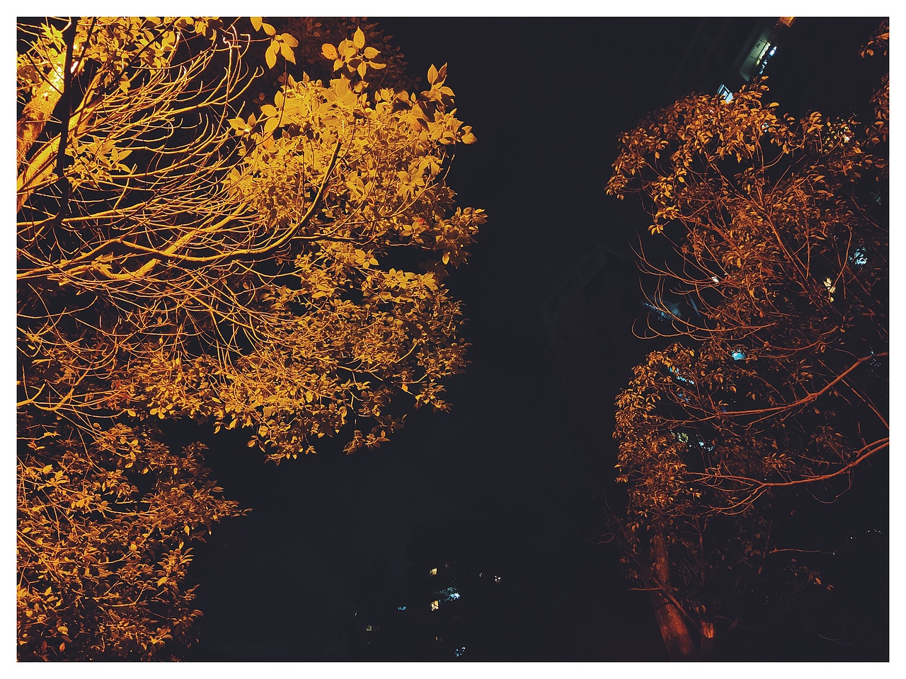 20.01.12  冬天的深圳依然温暖