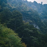 glen6ms的头像