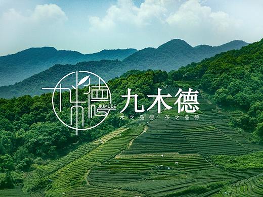 茶行logo