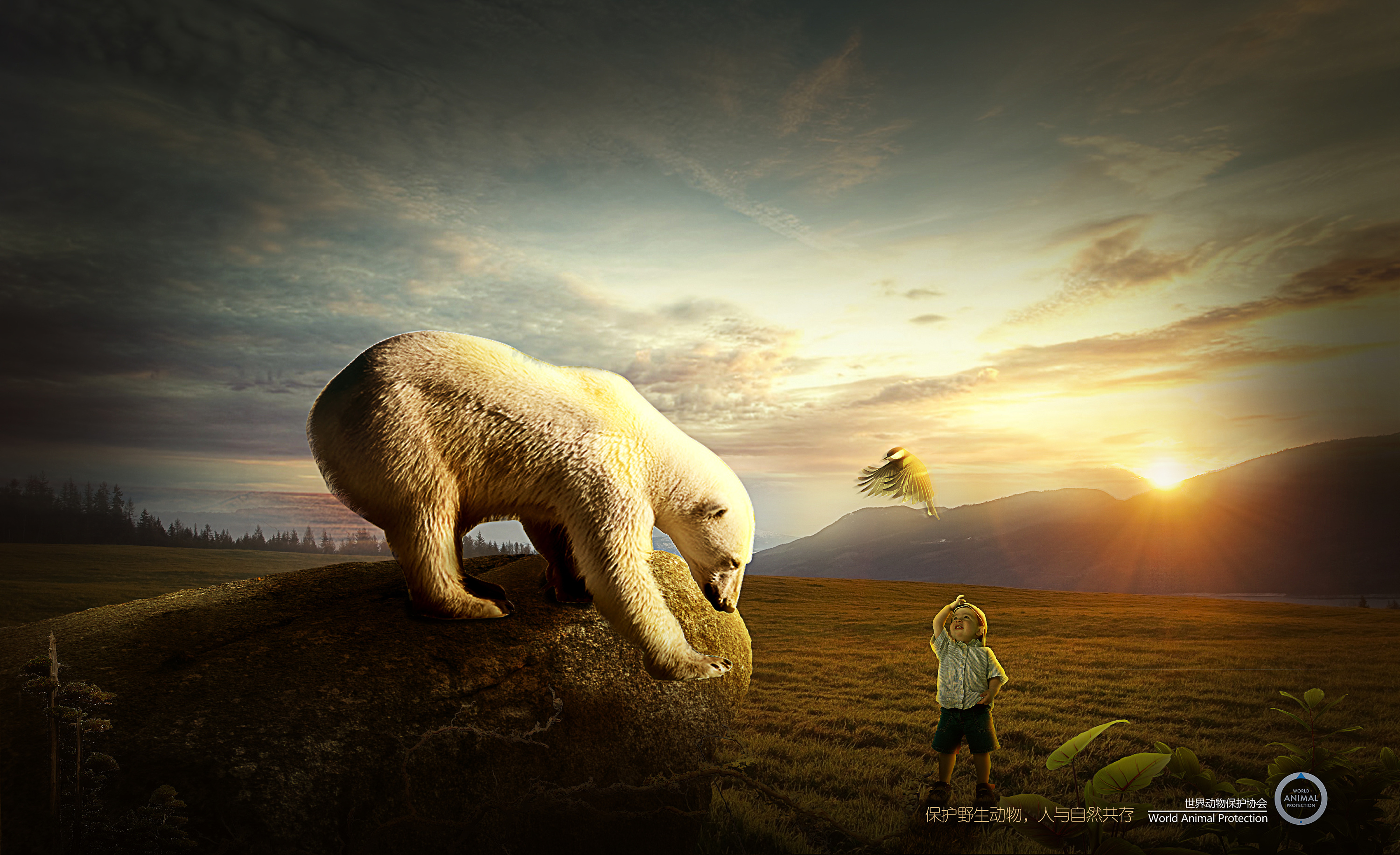 动物与人和谐相处创意海报|平面|海报|Darrens - 原创作品 - 站酷 (ZCOOL)