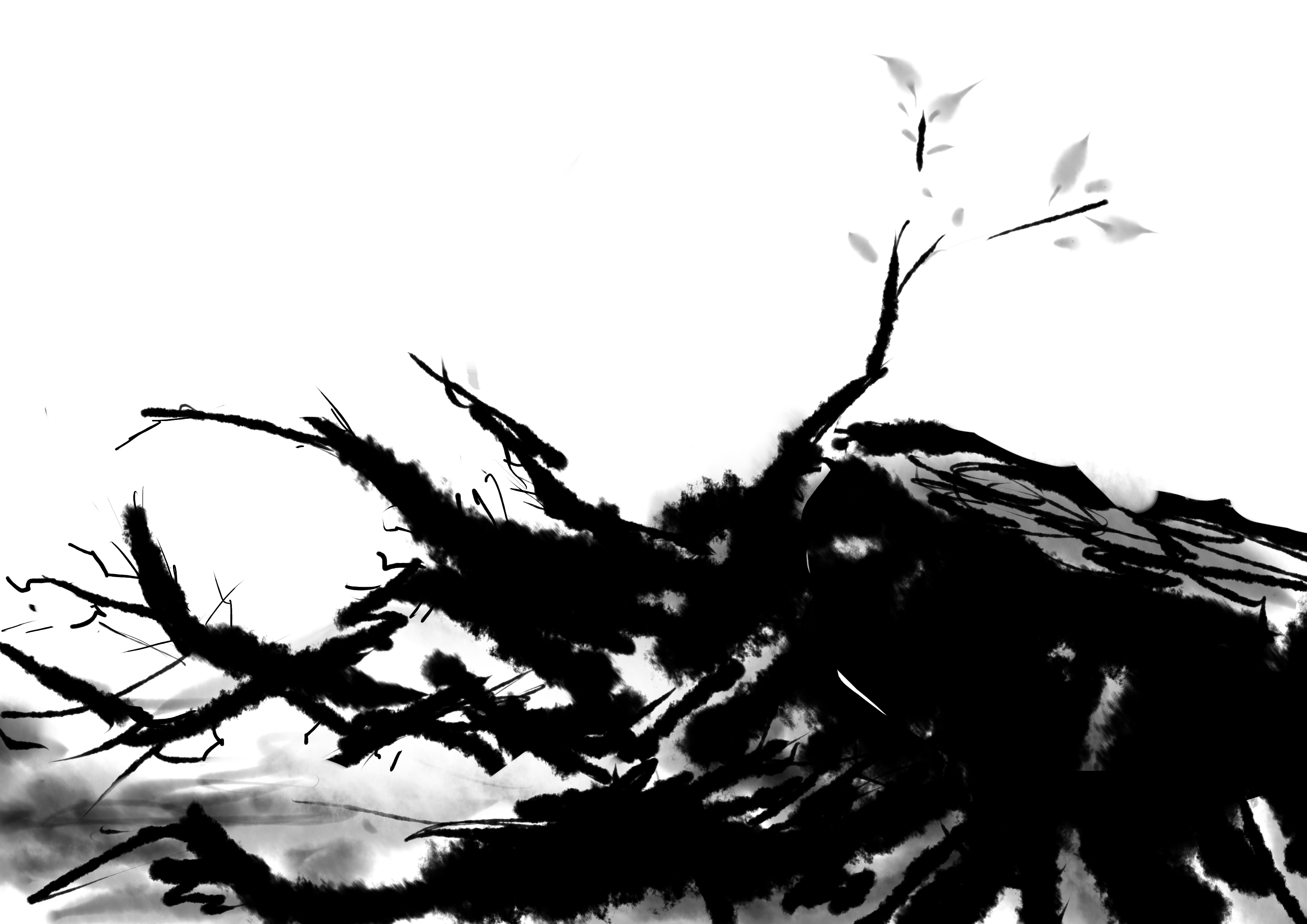 一笑君的个人主页（封面预览） - 主页封面设置 - 站酷设计师一笑君原创素材 - 站酷ZCOOL