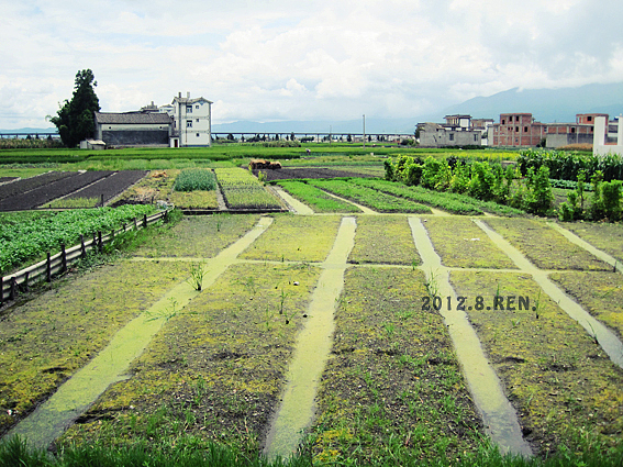 彩云之南（图ZNTQwMTQxMzI=） - 风光摄影 - 站酷设计师無邉原创素材 - 站酷ZCOOL