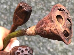 纯手工黑胡桃木茶具-荷风茶拨