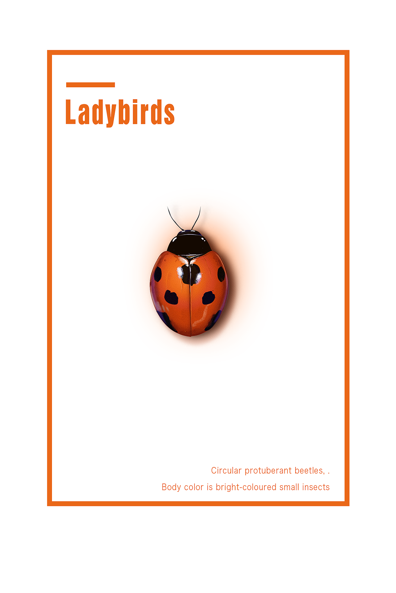 昆虫标本（图ZNjQwODUwMzI=） - 交互/UE - 站酷设计师炒粉不加冰原创素材 - 站酷ZCOOL