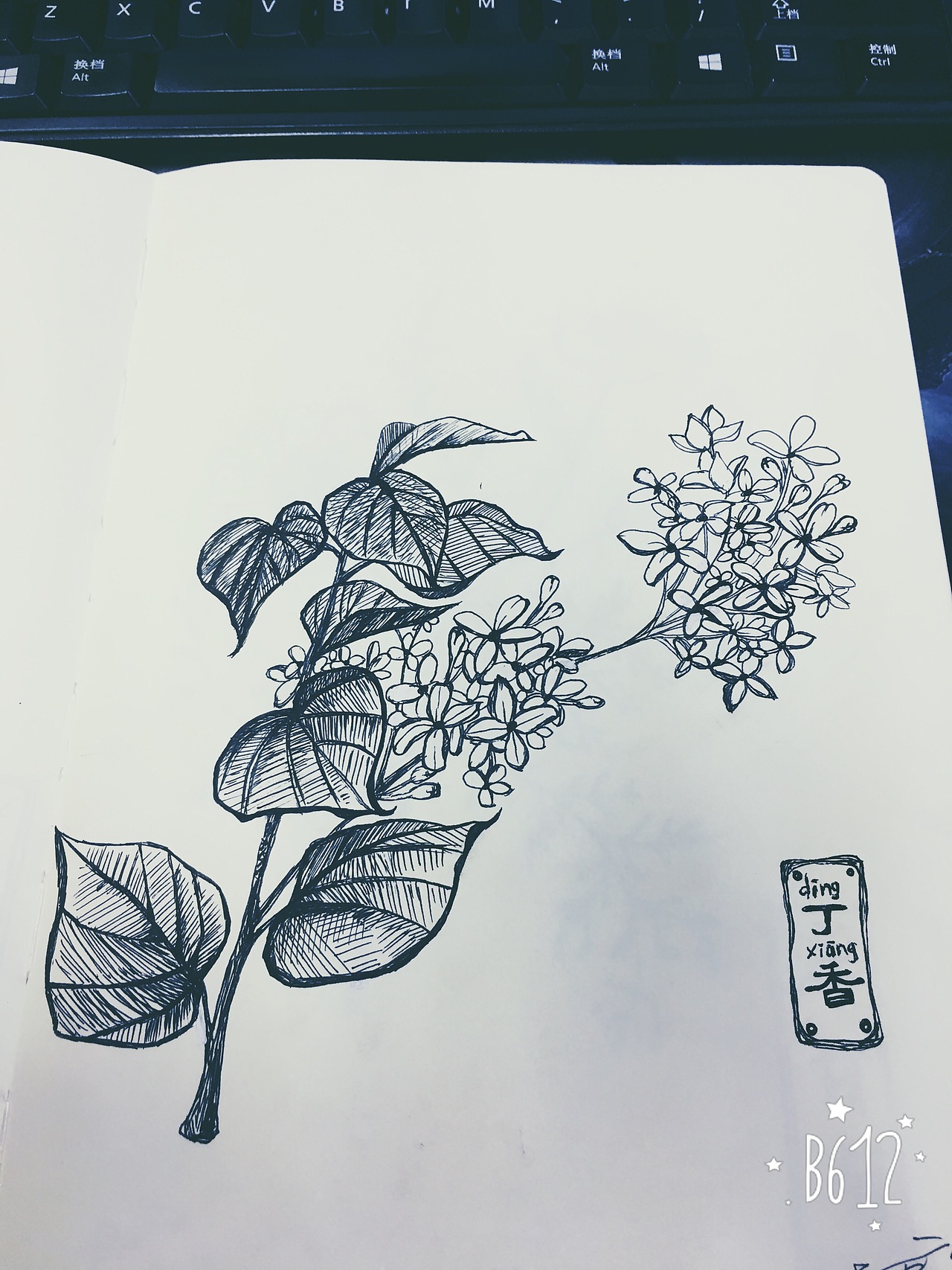 原创临摹都有，乱涂乱画练习中