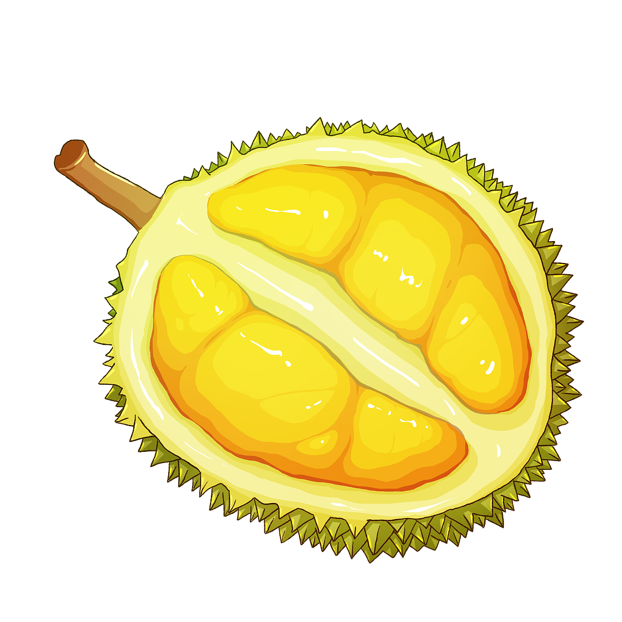 榴莲榴莲|插画|创作习作|包个汤小圆_原创作品-站酷zcool