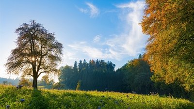 小程曦的个人主页（封面预览） - 主页封面设置 - 站酷设计师小程曦原创素材 - 站酷ZCOOL