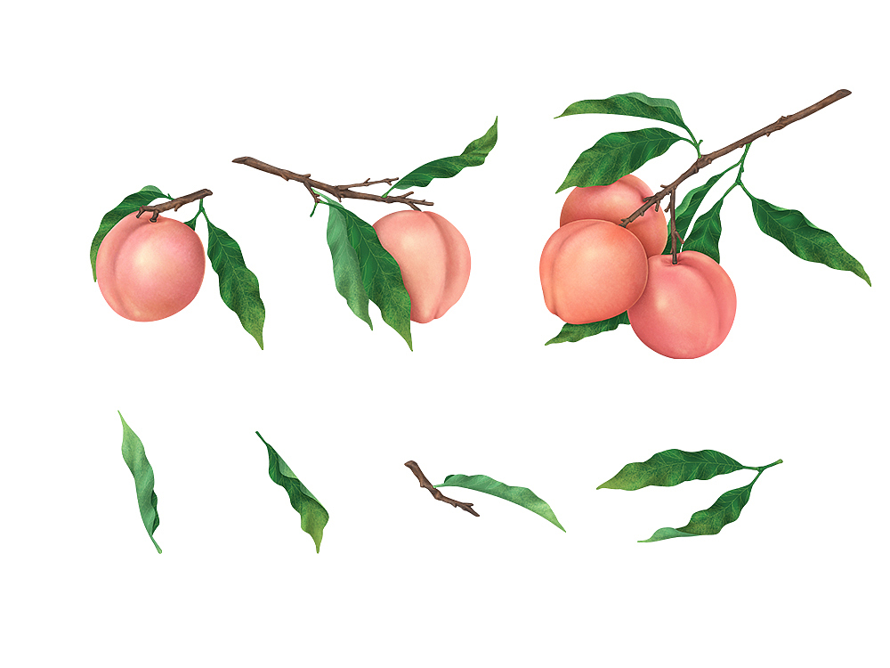 插画-凤梨酥水果包装元素（图ZMjA3OTIzNzIw） - 商业插画 - 站酷设计师小士心原创素材 - 站酷ZCOOL