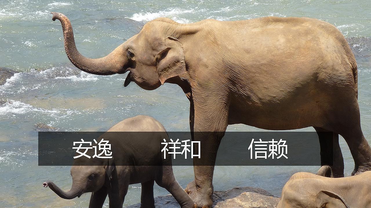 金融机构logo设计（图ZMTI3MjY3NTA0） - 品牌 - 站酷设计师Spring2015原创素材 - 站酷ZCOOL